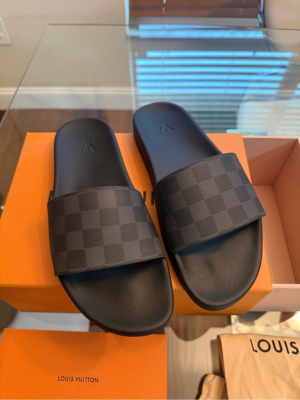 Louis Vuitton Waterfront Mule Damier Graphite Men’s LV Size 8 / US 9